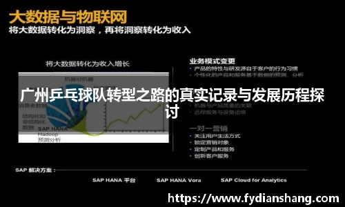 广州乒乓球队转型之路的真实记录与发展历程探讨