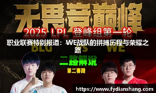 职业联赛特别报道：WE战队的拼搏历程与荣耀之路