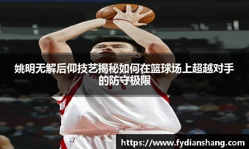 姚明无解后仰技艺揭秘如何在篮球场上超越对手的防守极限