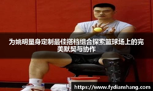 为姚明量身定制最佳搭档组合探索篮球场上的完美默契与协作