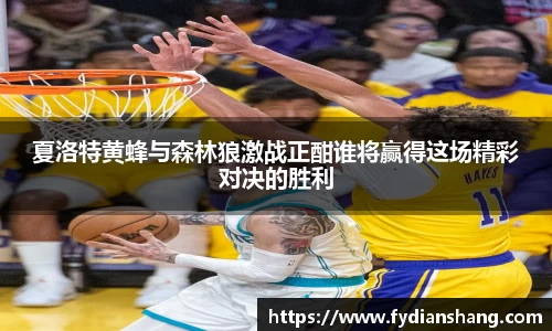 夏洛特黄蜂与森林狼激战正酣谁将赢得这场精彩对决的胜利