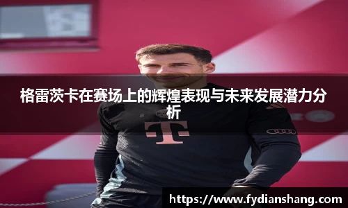格雷茨卡在赛场上的辉煌表现与未来发展潜力分析